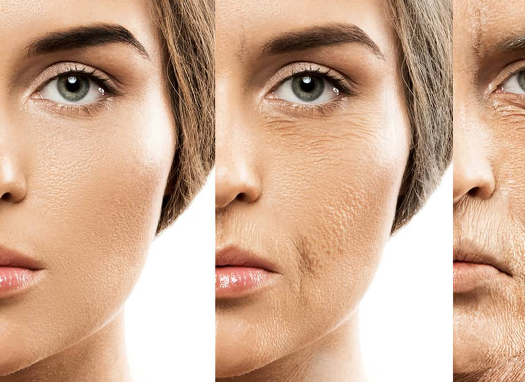 Sirolimus for longevity