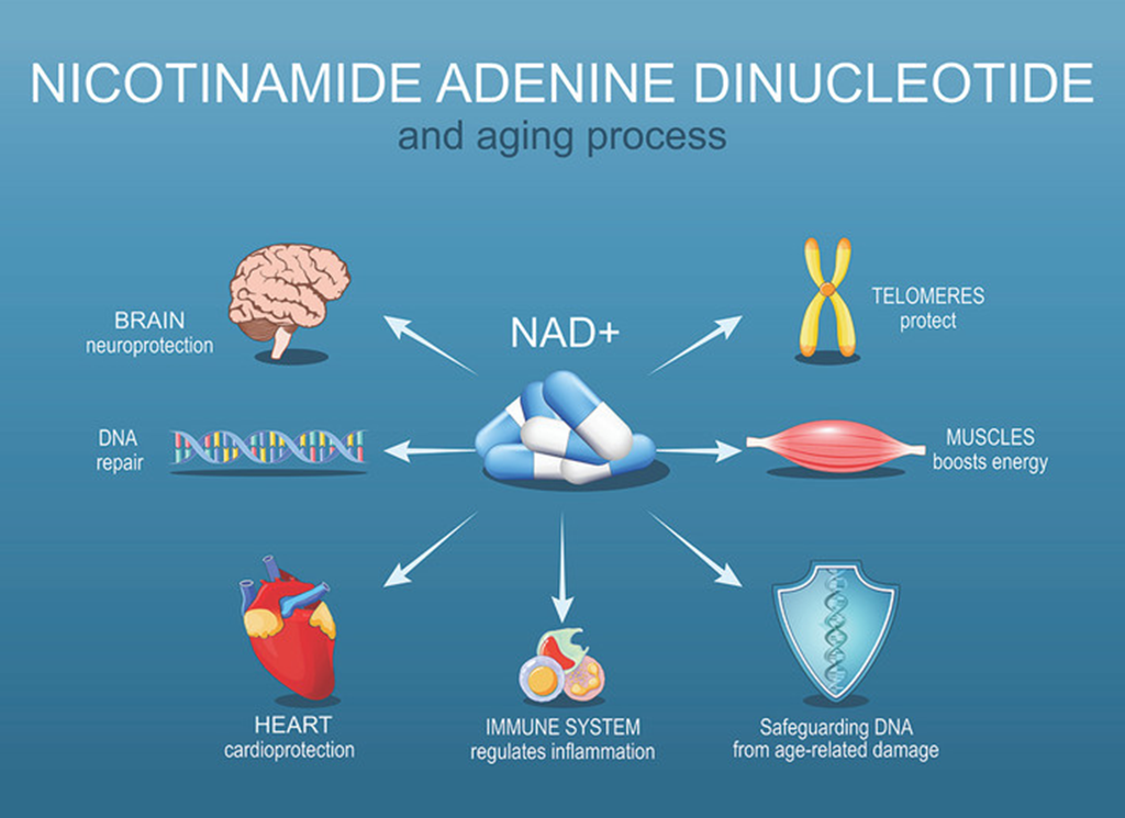 Revitalize from Within: NAD+ Injections Are Here!